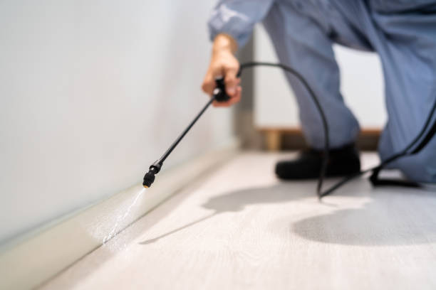 Certified termite inspector examining foundation in Mechanicville